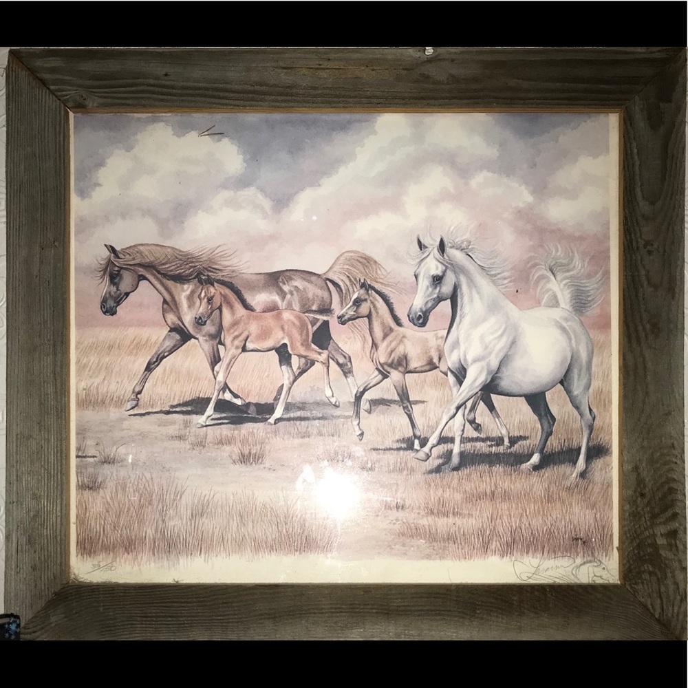 Horse picture